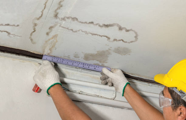 Reliable Burst Pipe Cleanup contractor in Howell, MI by Water Damage Irwin